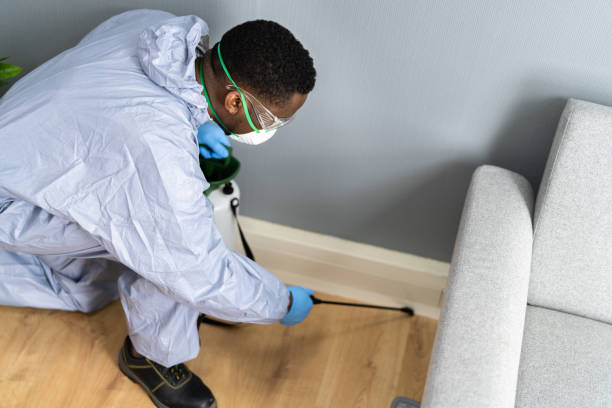 Best Pest Prevention Services  in Lone Star, TX